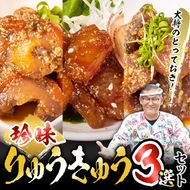 大将のとっておき！「珍味りゅうきゅう3選セット」 魚 海鮮 簡単 りゅうきゅう 漬け丼 お茶漬け だし茶漬け 調味料 加工品 大分県 佐伯市 【GA004】【ポートラインサービス (有)】