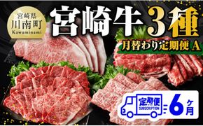 【 6ヶ月定期便 】 宮崎牛 3種 月替わり 定期便A 全6回【 肉 牛肉 国産 宮崎県産 A4～A5等級 宮崎牛 黒毛和牛 和牛 焼肉 しゃぶしゃぶ すきしゃぶ 焼しゃぶ ステーキ 】 [E11012t6]