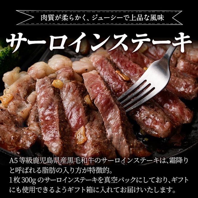 a904 ≪A5等級≫鹿児島県産黒毛和牛サーロイン(300g) ギフト箱入り！【水迫畜産】産 肉 牛肉 牛 黒毛和牛 ステーキ
