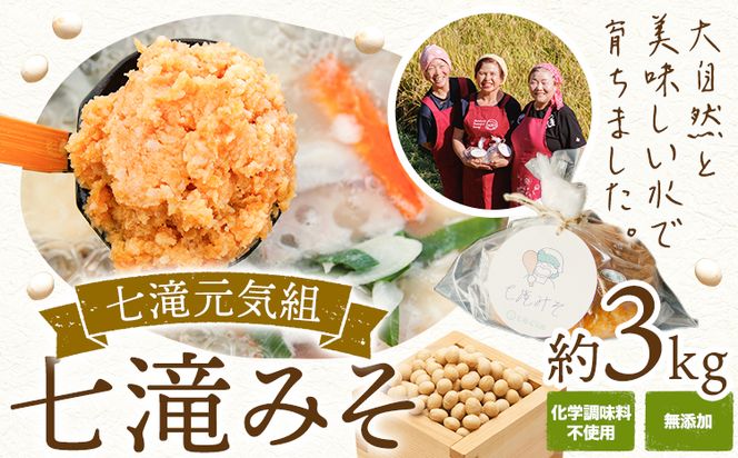 yF{Dz݂ X ݂ 3kg ꌳCg s30ȓɔ\(yj)tF{ D Y wsgp  X` ݂`---sm_cngkmiso_24_30d_14500_3kg---