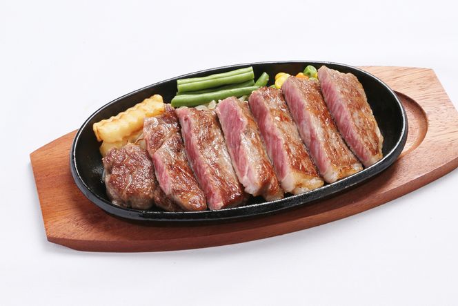 ロース肉ステーキ 10枚（約1800g）　氷温(R)熟成　飛騨牛Ａ５等級 リキッドフリーズ [No.539]