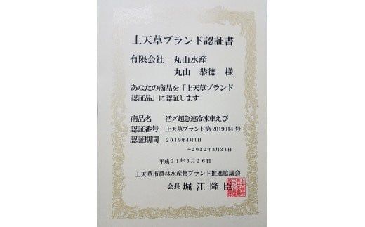 活き〆超急速冷凍車えび 750g（約24～33尾） 車海老 車えび 車エビ 海老 えび エビ 刺身 刺し身 真空パック 海鮮 冷凍 熊本県 上天草市【2025年10月下旬より順次発送予定】
