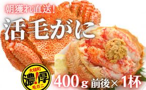 【期間限定3月～4月発送】三陸産三陸活毛ガニ400g×1杯(1尾)【0tsuchi00659】【05】