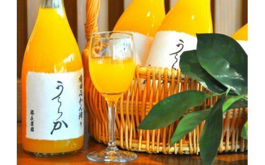 290. 有田みかん搾り「うららか」2本セット(A290-1)