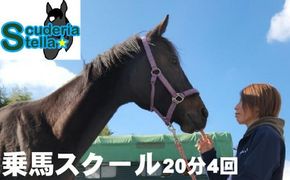 体験乗馬 乗馬スクール 20分 4回 1名様 乗馬体験 馬 東海 岐阜県 