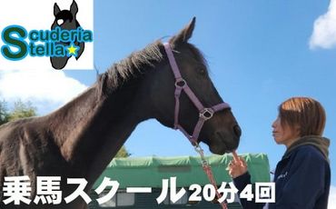 424. 乗馬スクール 20分 4回 1名様 乗馬体験 馬 東海 岐阜県 