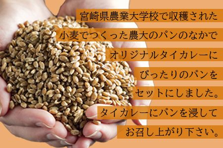 ＜高鍋生まれの「タイカレー」とカレーによくあう「農大パン」のセット　タイカレー3個・農大パン8個＞翌月末迄に順次出荷【c419_sk_x2】