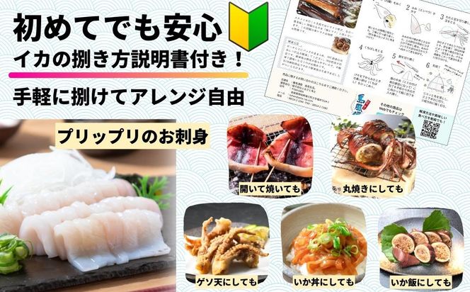 【のし付き】今が旬！朝どれ寒シマメ特大サイズ（350-400g）丸ごと2杯セット