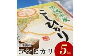 令和7年産米 土浦市産 コシヒカリ 精米5kg ｜ 茨城県土浦市のお米が収穫される旧新治村地区は、ホタルが舞うのどかな里です ※離島への配送不可　※2025年9月中旬～2026年7月下旬頃に順次発送予定