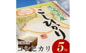 令和6年産米 土浦市産 コシヒカリ 精米5kg ｜ 茨城県土浦市のお米が収穫される旧新治村地区は、ホタルが舞うのどかな里です ※離島への配送不可　※2024年9月下旬～2025年8月上旬頃より順次発送予定