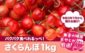 田舎の頑固おやじが厳選！たっぷりさくらんぼ1kg【令和3年7月から順次お届け】 [BI51-NT]