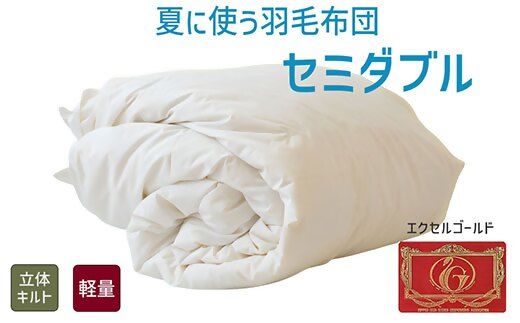 yOdszy4.6-3zĂɎgHѕzc GNZS[hx | Z~_u 170×210cmCOh_E90 {Hѐigixt | H |zc ̃Lgy251-000262-20z