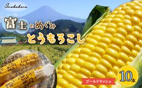 ＜2025年先行予約＞【富士山の麓で育つ】富士河口湖町産 Inakakaraとうもろこし「ゴールドラッシュ」10本入 FBA005