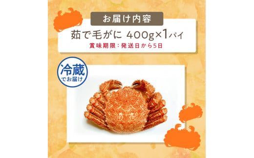 【予約：2026年3月下旬から順次発送】【旬の浜ゆで毛ガニを冷蔵便で】オホーツク海産 浜茹で海明け毛がに 約400g×1パイ 冷蔵 ( かに 蟹 魚介類 海鮮 )【114-0017-2026】