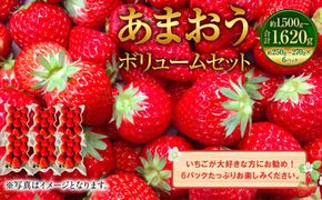 あまおうボリュームセット 約250～270g×6パック【2025年2月上旬～4月上旬発送予定】