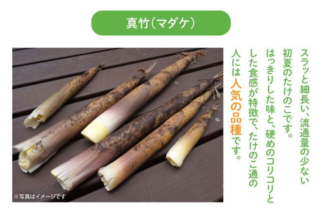 AA038　【５月中旬発送開始】朝採りたけのこ　真竹　約　3kg