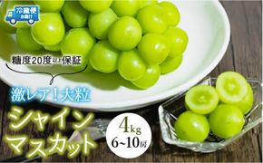 【2026年発送★先行予約】超レア大粒シャインマスカット4.0㎏以上（6房から10房）106-005-26y