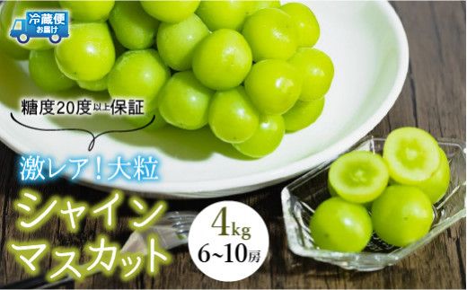 【2026年発送★先行予約】超レア大粒シャインマスカット4.0㎏以上（6房から10房）106-005-26y