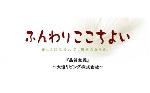 『ふんわりここちよい』羽毛掛けふとんエクセル  羽毛布団 国内生産 ギフト シングル S 日本製 寝具 軽量 肌掛け布団