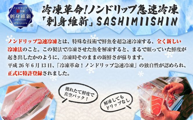 キビナゴの刺身と天ぷらセット　K100-003