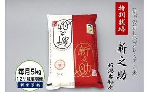 【新米受付・令和7年産米】【12ヶ月定期便】食味鑑定士板垣謹製 新潟県 岩船産 特別栽培 新之助 5kg×12ヶ月 1039033N ｜ 連続 毎月 お届け 新耕農産 一等米 プレミアム米 農家直送 低温倉庫保管