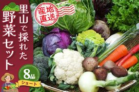 里山で採れた野菜セットショート 8品 【有機野菜 おまかせ野菜セット イタリア野菜 西洋野菜】(H078101)