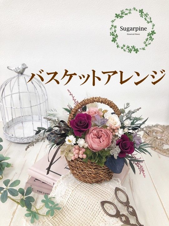 yʌtszAJ002-1 vU[uht[AW yBIz ts VK[pC