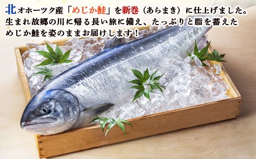 北隆丸 新巻めじか鮭（姿）約1.6ｋｇ・いくら醤油漬け200ｇセット オホーツク産【16005】