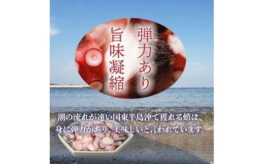  国東半島の本格派漁師めしが作れる！たこ飯の素（お米12合分）_29242A
