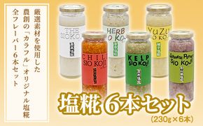 塩糀 6本セット 塩麹 塩こうじ 料理 発酵 調味料 農創 [AC01-NT]