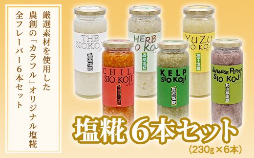 塩糀 6本セット 塩麹 塩こうじ 料理 発酵 調味料 農創 [AC01-NT]