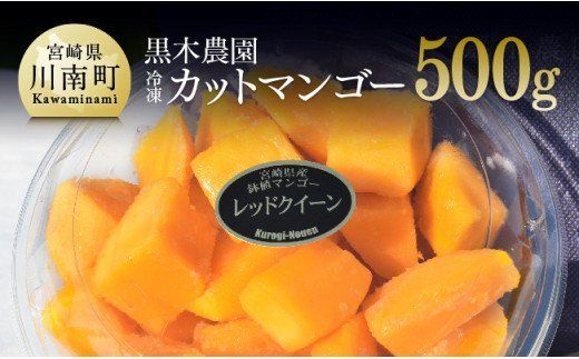 宮崎県産マンゴー 黒木農園の冷凍カットマンゴー(種なし)500g [ レッドクイーン マンゴー 果物 フルーツ スイーツ 季節限定 ] [C03202]