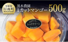 マンゴー 宮崎県産マンゴー　黒木農園の冷凍カットマンゴー（種なし）500g 【 レッドクイーン マンゴー 果物 フルーツ スイーツ 季節限定 】☆ [C03202]