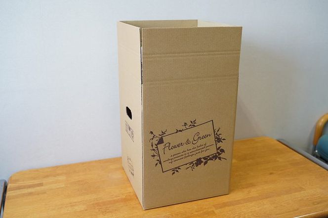 【夏限定】花もち抜群！碧南市産「クルクマ」 カラフルブーケ 10本をかわいく花束にしてお届け H174-001