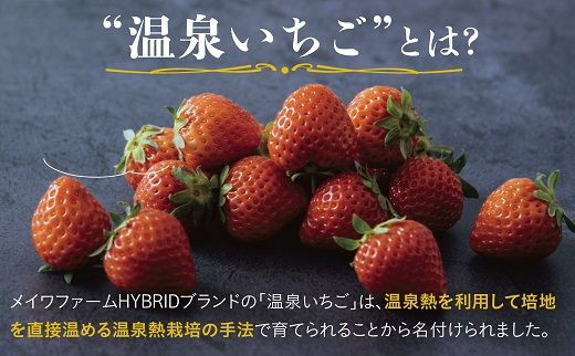 1173 鳥取県産とっておき「温泉いちご」大きさいろいろ詰め合わせ 1キロ