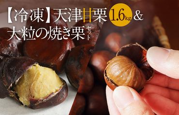 【冷凍】天津甘栗1.6kg＆大粒の焼き栗セット H045-055