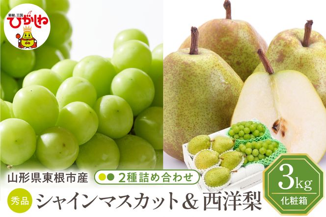 yR`szy2026NzsY VC}XJbgm lߍ킹 3kg Gi ϔ R` s hi027-242