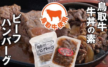 0119 とりちく牛丼の素・鳥取ビーフハンバーグ詰め合わせ
