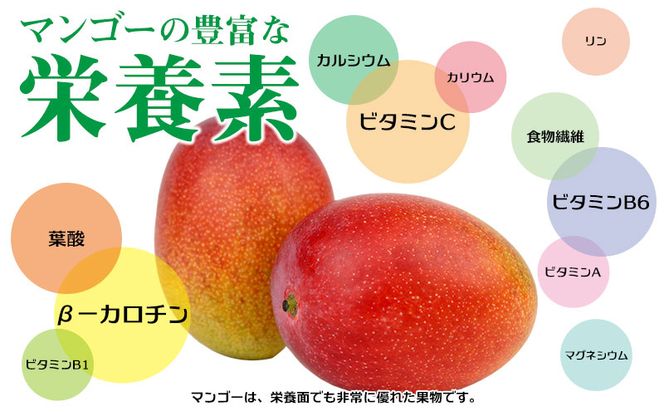 先行受付】【2025年発送】生産組合が育てる厳選・完熟マンゴー約 先行受付】【2025年発送】生産組合が育てる厳選・完熟マンゴー約