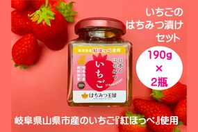 岐阜県産いちごはちみつ漬けセット　190g×2瓶 [No.426]