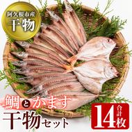 鹿児島県阿久根市産！干物セット(2種・合計14枚)国産 魚介 ひもの おかず おつまみ タイ カマス【川本商店】a-14-27-z