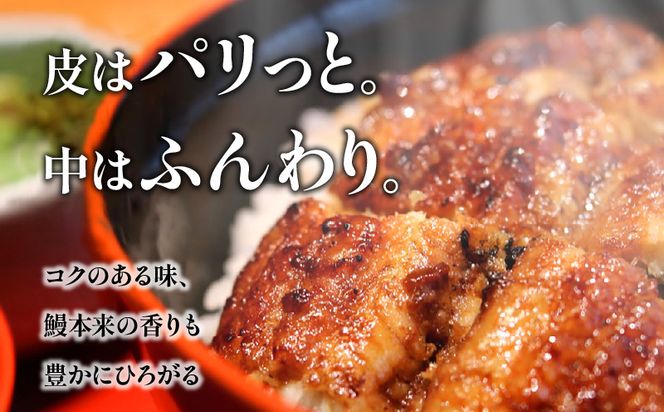 【訳あり】高須水産　備長炭手焼き蒲焼3尾(620ｇ)_M159-005