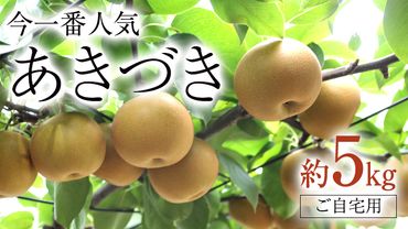 今一番人気 『 あきづき 』 5kg ( 自家用 ) フルーツ 果物 国産 日本産 梨 ナシ なし 和梨 [DJ003ci]