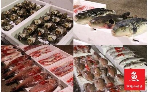 【A5-333】魚市場厳選 いわし明太（20枚）