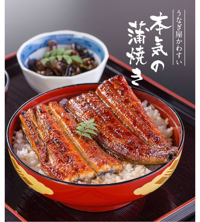 490.【うなぎ屋かわすい】特大サイズ国産うなぎ蒲焼き5本セット（合計850g）(A490-1)