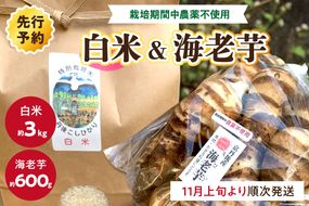 【先行予約】京都伝統野菜　海老芋（栽培期間中農薬・化学肥料不使用）＆丹後米こしひかり（特別栽培米）　KU00013　　