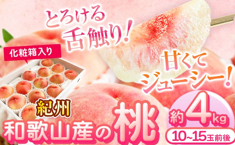 紀州 和歌山産 の 桃 約 4kg 10〜15玉 化粧箱入 株式会社魚鶴商店 [2026年6月下旬-8月上旬より発送予定] 和歌山県 日高町 桃 もも モモ 果物 くだもの---wsh_cuot158_6g8j_25_27000_4kg---