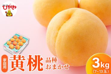 【2024年産ご家庭用】東根市産 無袋黄桃【品種おまかせ】3kg (7～13玉入れ)　hi027-106