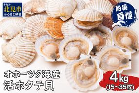 【予約：2026年4月から順次発送】とれたて新鮮！オホーツク海産 活ホタテ貝 4kg 15～35枚 ( 魚介 海鮮 貝 帆立 ほたて ホタテ 4キロ カレー シチュー 肉厚 )【114-0048-2026】