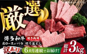 【全6回定期便】【訳あり】博多和牛 焼肉 切り落とし 500g《築上町》【MEAT PLUS】肉 お肉 牛肉[ABBP152]